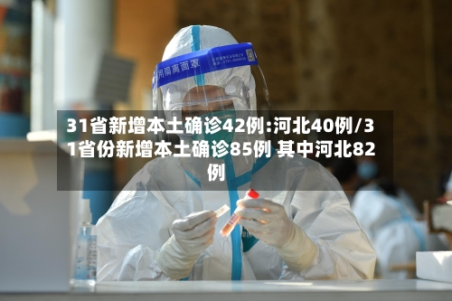 31省新增本土确诊42例:河北40例/31省份新增本土确诊85例 其中河北82例