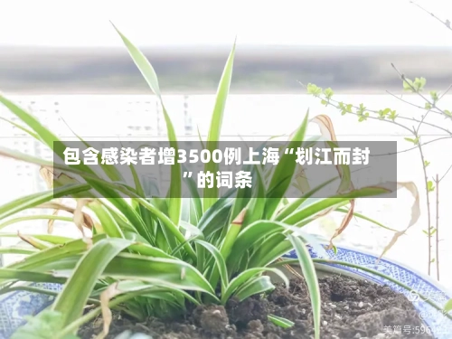 包含感染者增3500例上海“划江而封”的词条