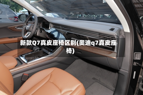 新款Q7真皮座椅区别(奥迪q7真皮座椅)