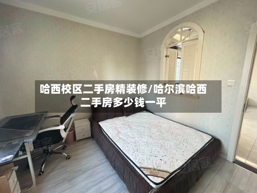 哈西校区二手房精装修/哈尔滨哈西二手房多少钱一平