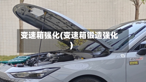 变速箱强化(变速箱锻造强化)