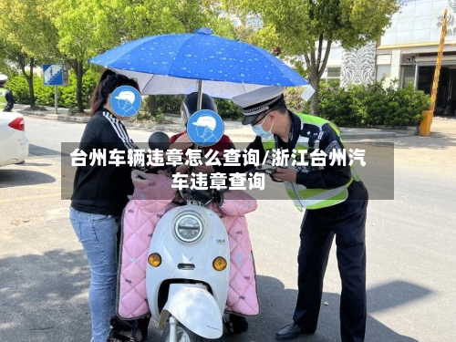 台州车辆违章怎么查询/浙江台州汽车违章查询