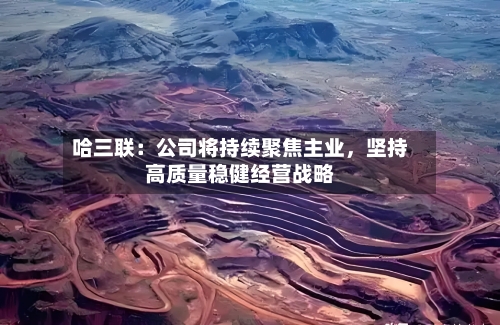 哈三联：公司将持续聚焦主业，坚持高质量稳健经营战略