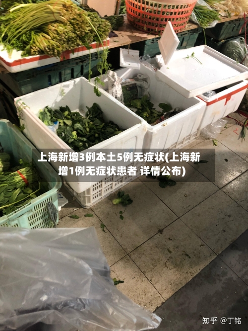 上海新增3例本土5例无症状(上海新增1例无症状患者 详情公布)