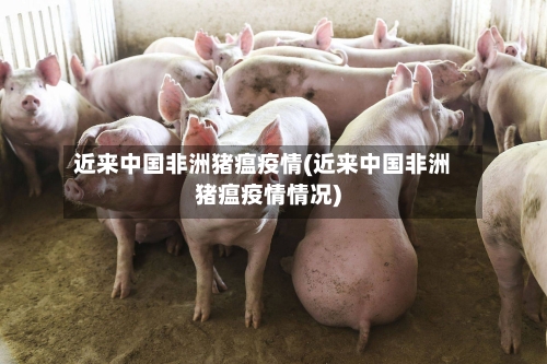 近来中国非洲猪瘟疫情(近来中国非洲猪瘟疫情情况)