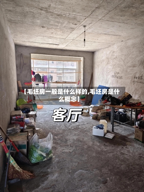 【毛坯房一般是什么样的,毛坯房是什么概念】