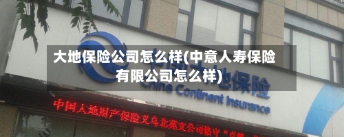 大地保险公司怎么样(中意人寿保险有限公司怎么样)