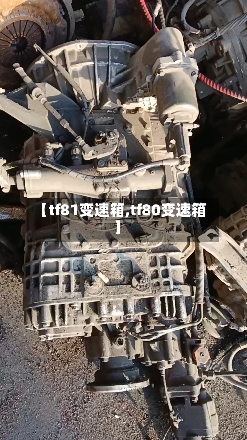 【tf81变速箱,tf80变速箱】