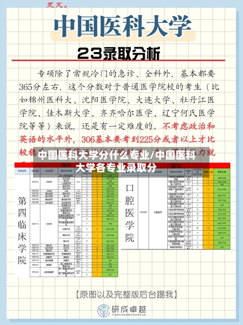 中国医科大学分什么专业/中国医科大学各专业录取分