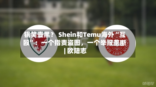 锅笑壶黑？ Shein和Temu海外“互殴”：一个指责盗图，一个举报垄断 | 欧陆志