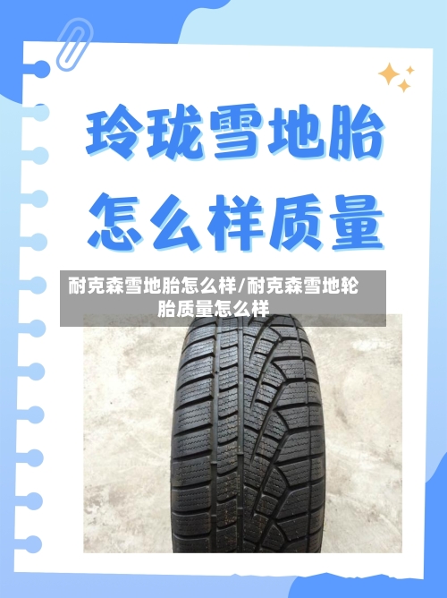 耐克森雪地胎怎么样/耐克森雪地轮胎质量怎么样