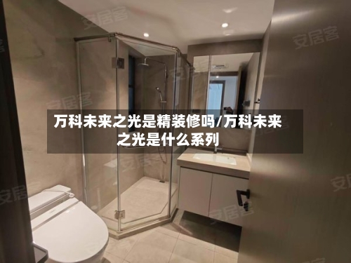 万科未来之光是精装修吗/万科未来之光是什么系列